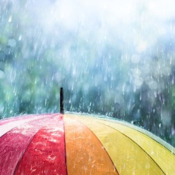 Meet your Posher, Michelle - Picture 1 of 1